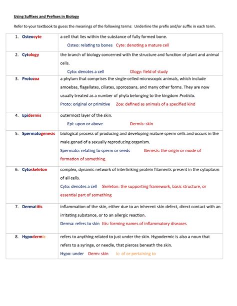 00b Prefixes And Suffixes Worksheet Using Suffixes And Prefixes In