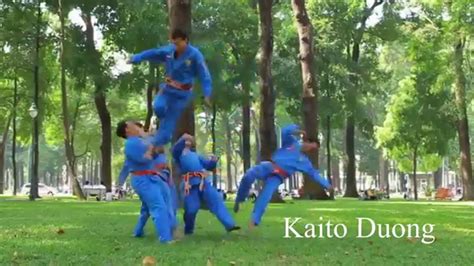 Vovinam Viet Vo Dao Vietnamese Martial Art Created By Kaito Duong