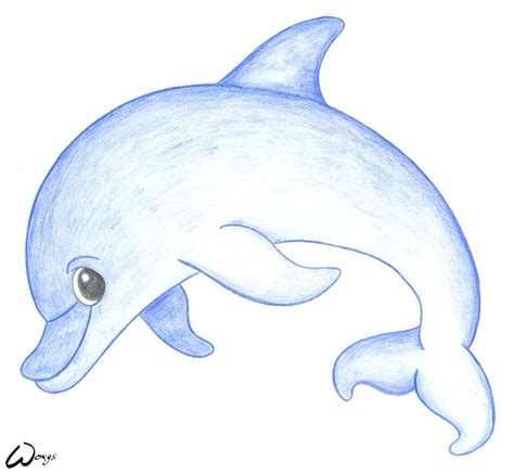 Baby Dolphin By Woxys On Deviantart