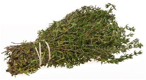 Thyme An Aromatic And Medicinal Herb Healthyliving From Nature
