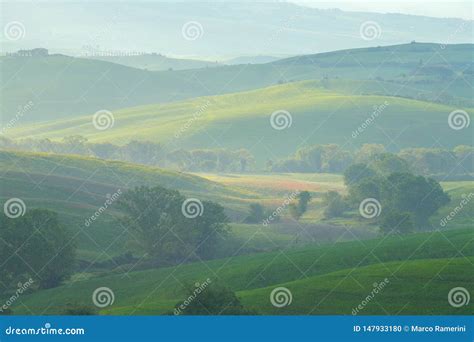 Val D`orcia Landscape In Spring Soft Lights Of Dawn On The Hills Of