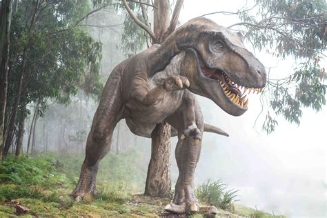 Curiosidades Sobre Dinossauros 10 Fatos Incríveis E Divertidos