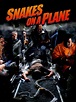 Snakes on a Plane - Movie Reviews