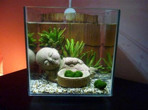 Betta Fish Tank Decor Bettakus