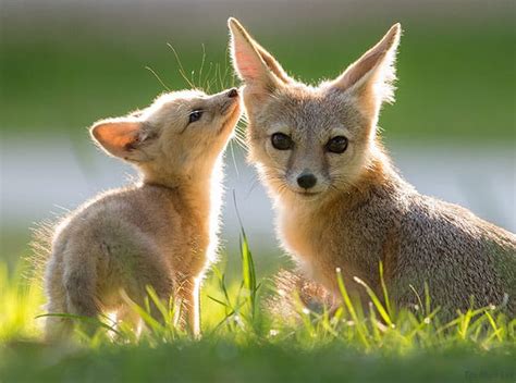 Best Camera Lens For Landscape Photography Canon - Best Landscape Lens For 90D