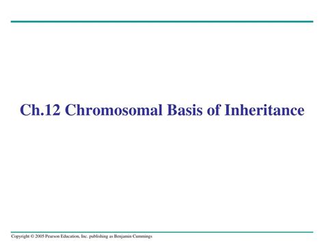 ppt ch 12 chromosomal basis of inheritance powerpoint presentation free download id 4734866