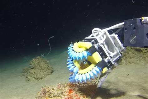 This Underwater Squishy Robot May Shine More Light On Elusive Marine