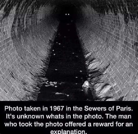 19 Weird And Creepy Facts Creepy Facts Scary Facts Creepy Pictures