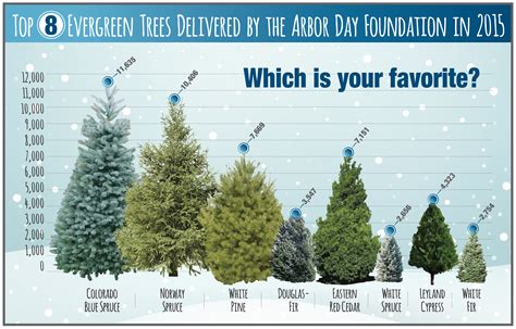 Which Trees Did You Buy This Season Arbor Day Blog