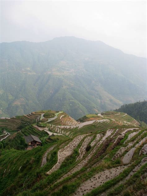 Most Beautiful Terraced Rice Fields