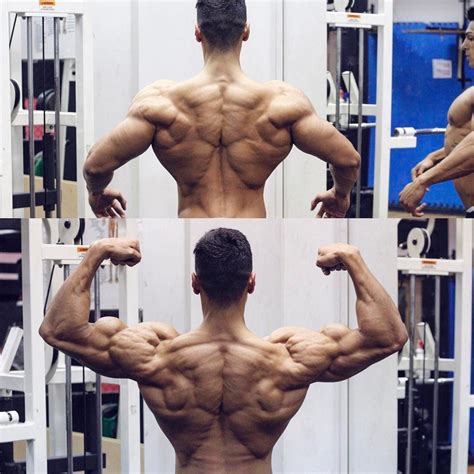 Andrei Deius Incredible Back Bodybuilding