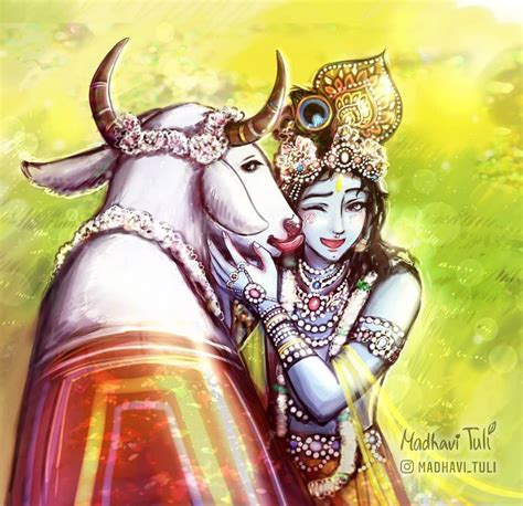 Krishna With Cow Wallpapers Wallpaper Cave