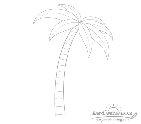 Comment dessiner un palmier étape par étape Wechsel