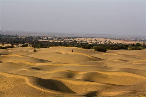 File Thar Desert Rajasthan India Wikimedia Commons