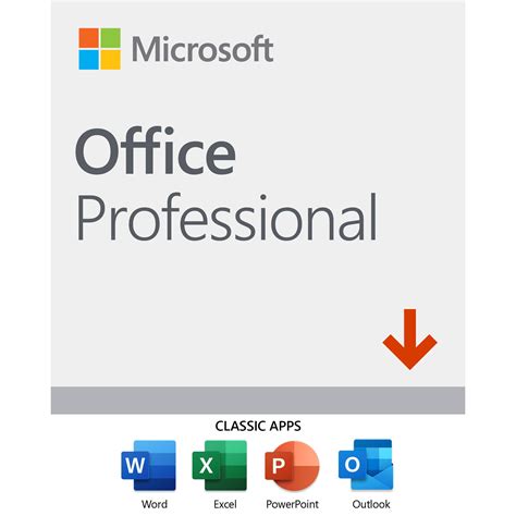 Microsoft Office Professional 2019 269 17076 Bandh Photo Video