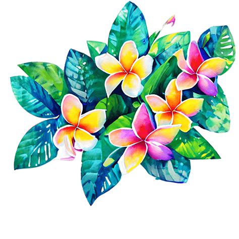 Tropical Plumeria Flowers Creative Fabrica