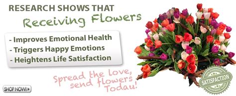 New products on sale weekly and great budget friendly prices. Buy Wholesale Flowers | Wedding Flowers, Bulk Flowers ...