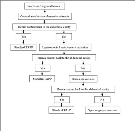 Schematic Flow Of Hernia Content Reduction Download Scientific Diagram