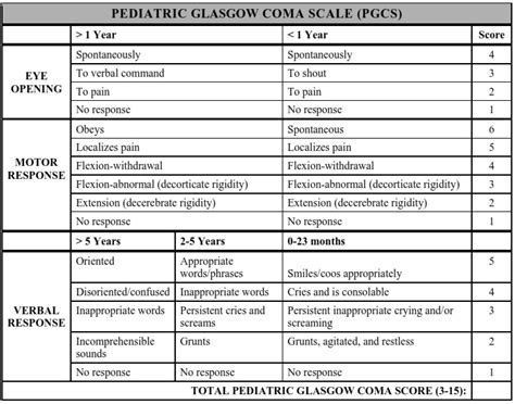 Glasgow Coma Scale Gcs Score My Xxx Hot Girl