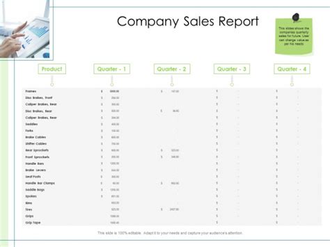 In Depth Business Assessment Company Sales Report Ppt Powerpoint Presentation Icon Microsoft Pdf