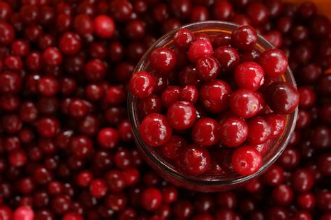 A Short History Of The Cranberry Feasts Of History