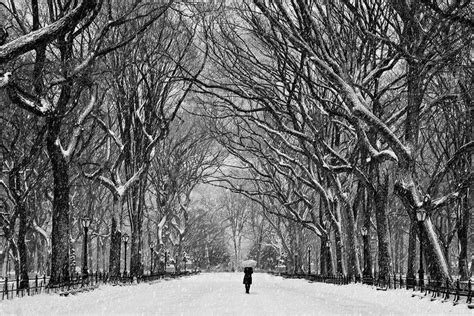Winter Wonderland Iii Black And White Pinterest