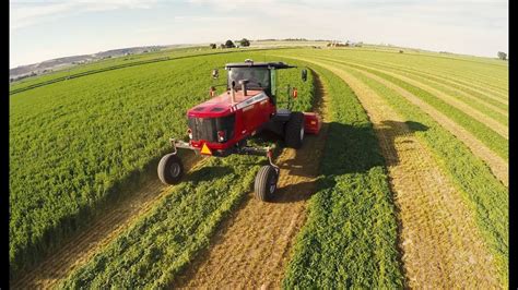 When To Cut Hay For High Quality Or Tonnage Youtube