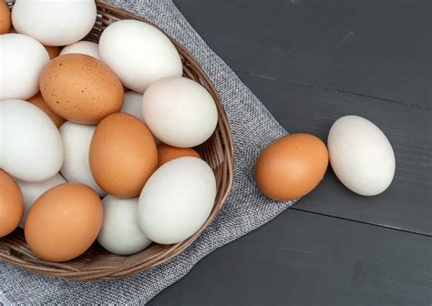 Duck Eggs Vs Chicken Eggs 7 Point Comparison Tyrant Farms