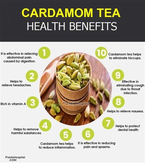 Health Benefits Of Cardamom Chart Informatie360