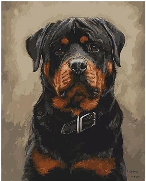 The 15 Most Realistic Rottweiler Paintings Petpress