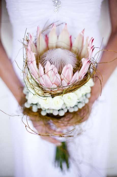 1000 Ideas About Protea Wedding On Pinterest Protea Bouquet