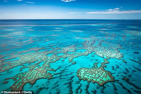Sold Out Flight Touring Australias Great Barrier Reef Gold Coast And