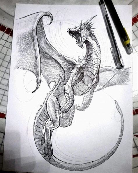 How To Draw A Dragon 40 Easy Dragon Sketches Harunmudak