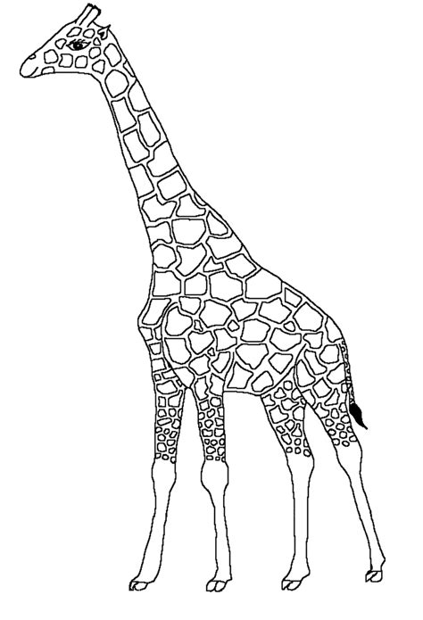 Sélection De Coloriage Girafe à Imprimer Sur Page 3