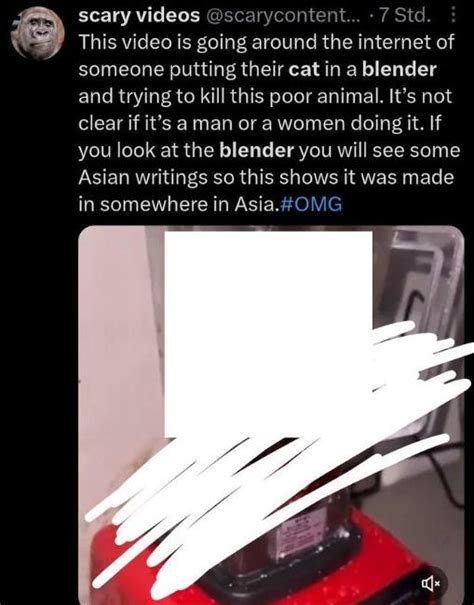 Cat In Blender Video Man Arrested After Distressing Clip Surfaced Online