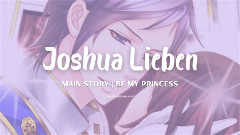 be my princess joshua lieben review the stubborn prince that stole my heart blerdy otome