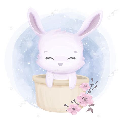 Cute Animal Little Rabbit In Bucket Adorable Animal Baby Png And