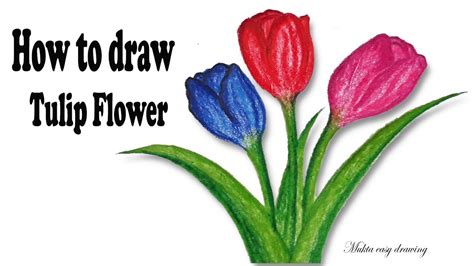 How To Draw Tulip Flowerstep By Step Easy Draw Youtube