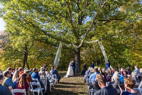 minnesota landscape arboretum wedding photos marcie david in 2022 wedding photos