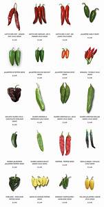 Pepper Plant Identification Chart Garden Plant