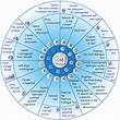 Keyboard Shortcuts and System Commands for Popular Programs - TurboFuture