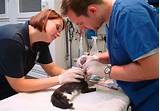 Photos of Pet Care Vet Clinic