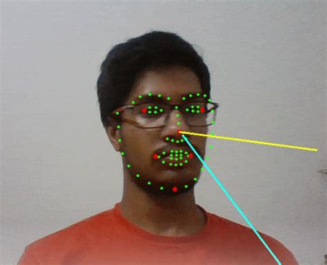 Real Time Face Landmark Detection Opencv Python With Source Code Vrogue