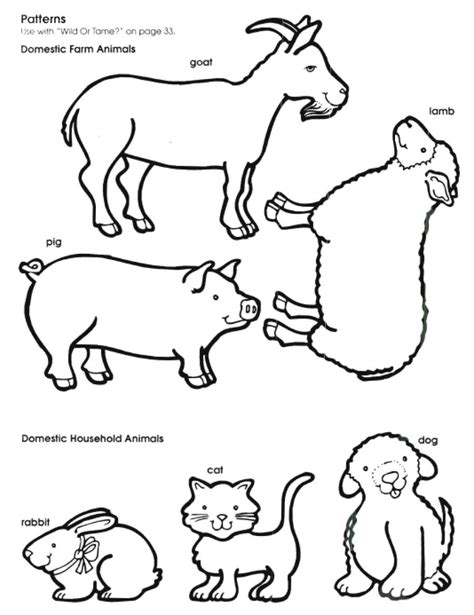 Free Printable Animal Outlines Coloring Easy For Kids