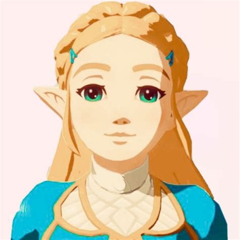 Botw Zelda Icon Botw Zelda Character Design Legend Of Zelda