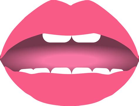 Teeth In A Mouth Clipart Free Download Transparent Png Creazilla