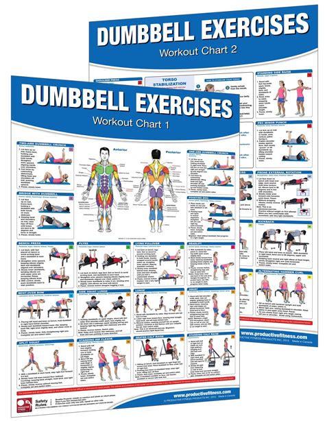 Dumbbell Workout Poster Chart Set Shoulder Training Dumbbell Exercises Poster Dumbbell