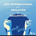 Las 24 Horas de Jujuy – Día internacional para la abolición de la ...