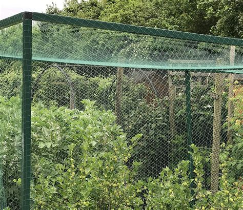 High Quality Custom Wholesale Garden Netting For Birds Bird Netting For