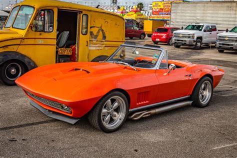 Florida Stingray Stock Photos Pictures And Royalty Free Images Istock